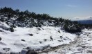 IMG 0932
