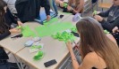 IMG 7236
