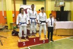 Ju jitsu 2017