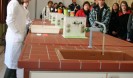 inf 2011 155