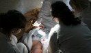 inf 2011 107