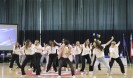 IMG 9558