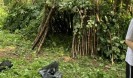 IMG 4779