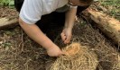 IMG 4767