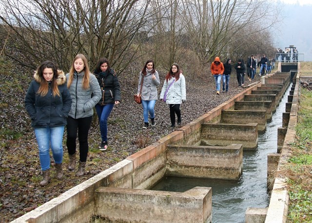 www ogled ribje steze kot premostitev višinske raz