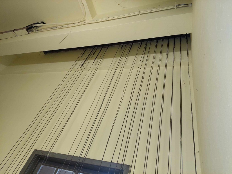 441991898 1124833095473188 2034581849322093672 n