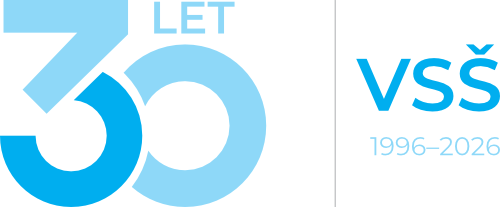 logo30let vss
