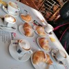 IMG 20221011 091254